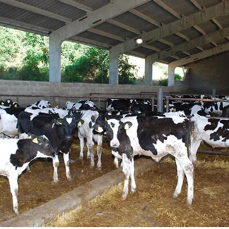 Séjour à la ferme Cal Servero *