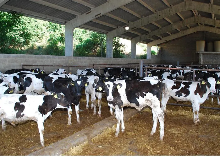 Agroturismo Cal Serveró *